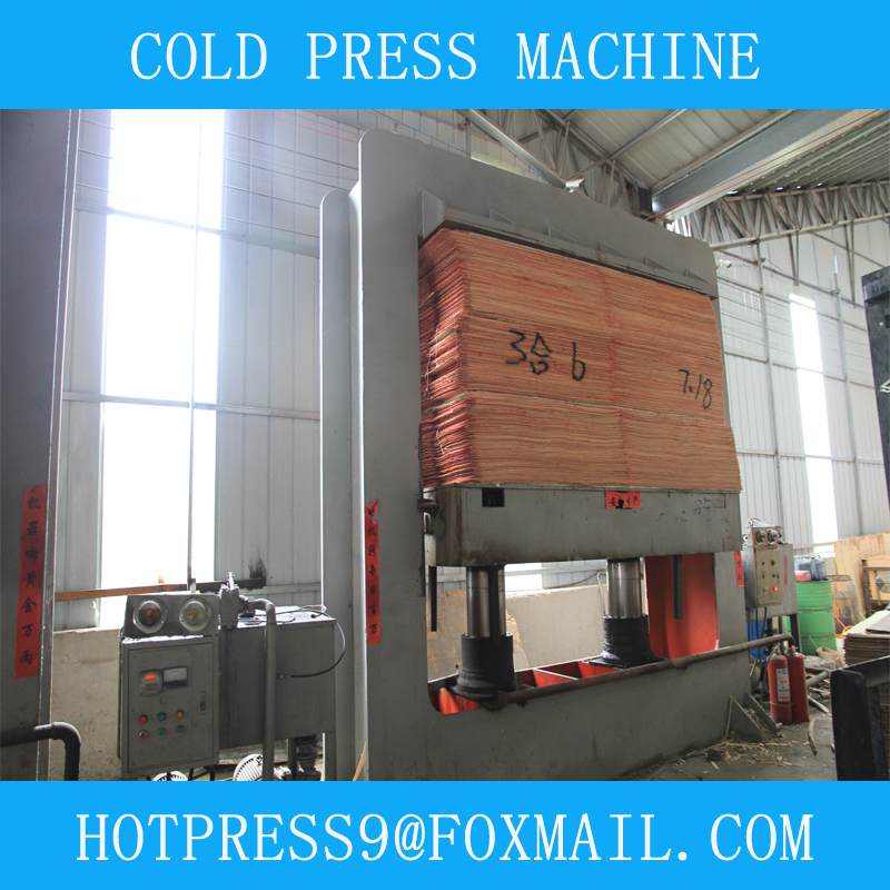 Cold press machine